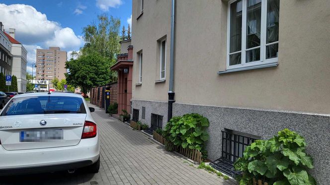 Mieszkanka Mokotowa musi zapłacić karę za posadzenie kwiatów. Kwota powala na kolana! Urząd mówi jasno