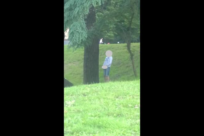 Zdjęcie ilustracyjne