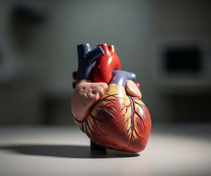 Lekarze jak piloci. Kardiolodzy szkolili się na symulatorach