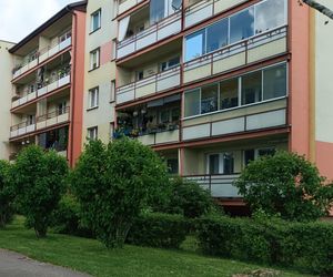 Chciała zarobić, a została bez środków do życia