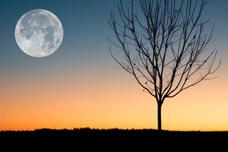 Pełnia Księżyca w październiku 2023. Jej wpływ odczują dwa znaki 