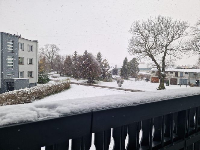 Pierwszy śnieg w tym roku. Pomorze pokryte białym puchem