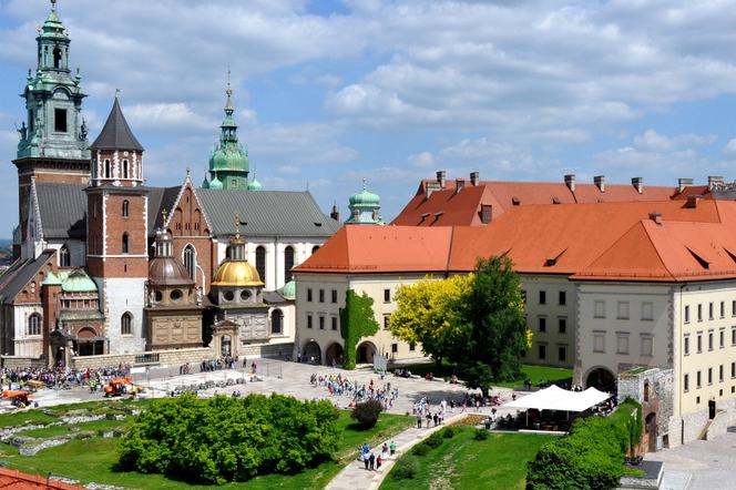 Wawel przygotowuje bilet rodzinny