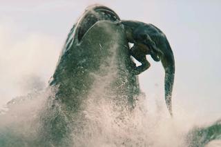Wielki rekin kontra… T-Rex. “Meg 2” zapowiada się na wyborne kino [WIDEO]