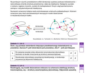 Matura 2025 - biologia