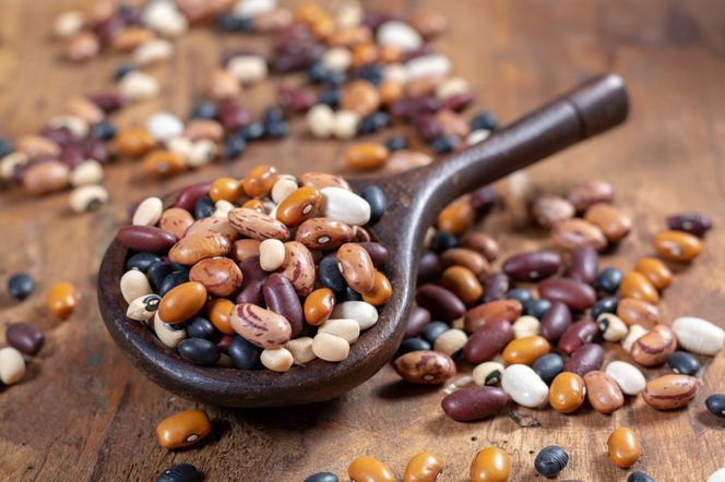 Fasola - rodzaje, właściwości i zastosowania kulinarne fasoli
