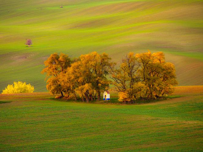 Podróż po Czechach dookoła świata