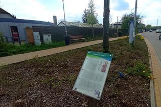 Zabytkowa pompa i jej replika na Krzekowie