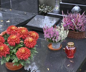 Grób rodziców Jarosława  Kaczyńskiego