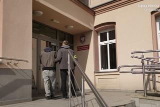 Tarnowskie Góry: W centrum miasta zlikwidowano plantację konopi