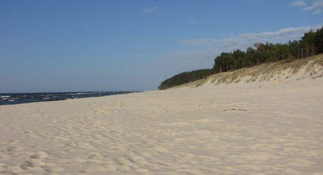 WISEŁKA