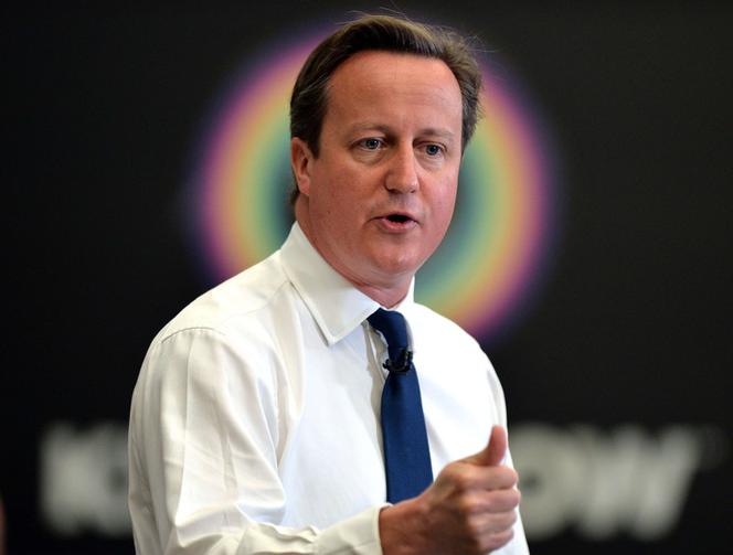 Szczyt G20, David cameron