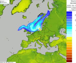 Tak daleko mogła dotrzeć chmura dymu z pożaru na przeróbce