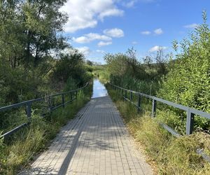 Łynostrada w Olsztynie zalana. Będą naprawy, a może i kładka!