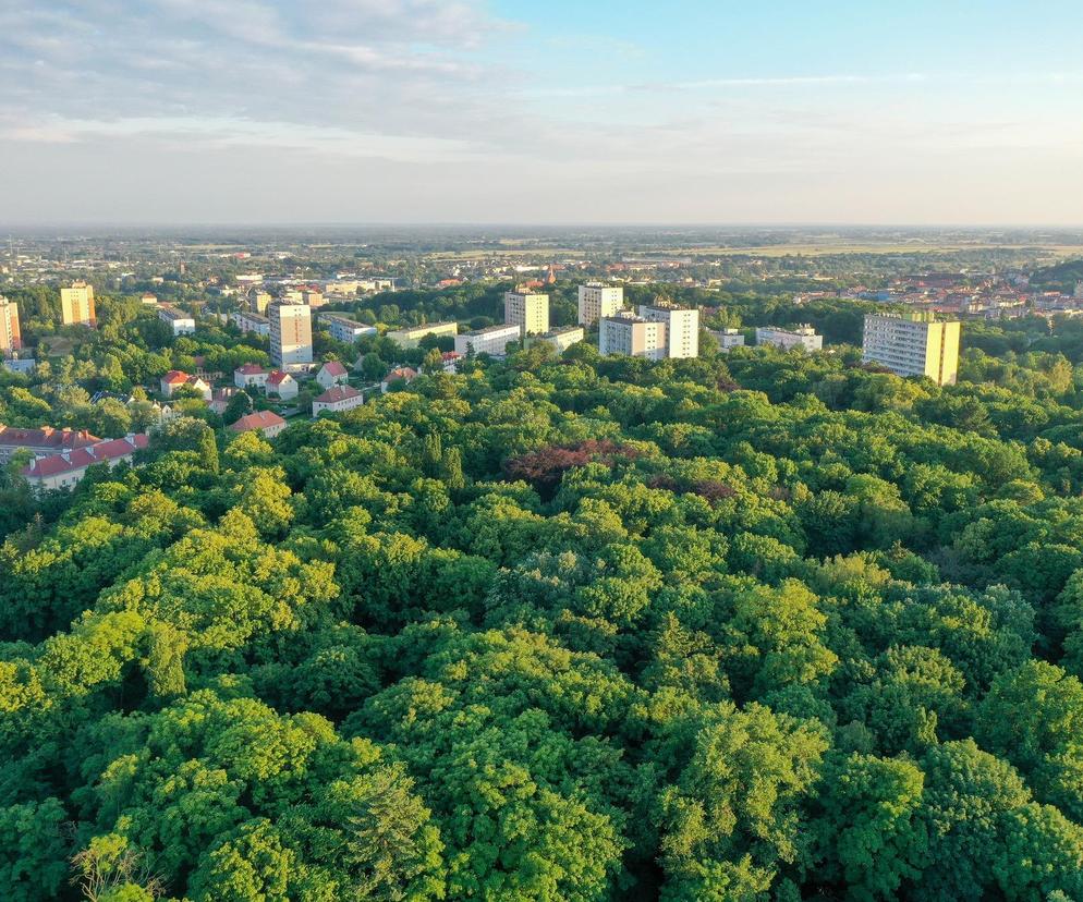 Zielona rewolucja w Gorzowie rozpoczęta!