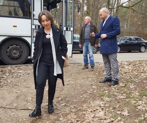 Posadzili kawałek lasu w miejscu wyciętego