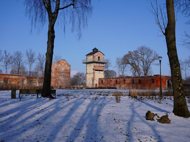 Zimowy spacer po Podzamczu w Łęcznej