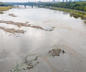 Wisła w Warszawie 27 sierpnia 2025 rano