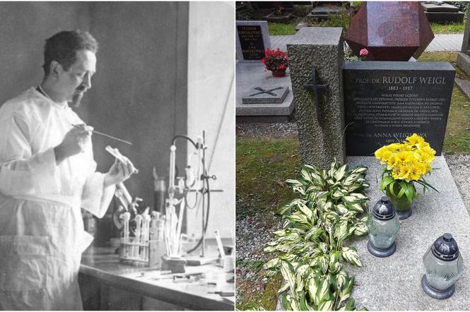Kim był Rudolf Weigl? Google Doodle wspomina wynalazcę szczepionki na tyfus