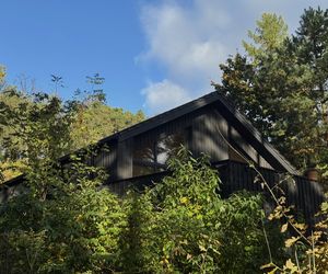 Dom w stylu nadwiślańskiej architektur