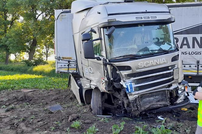 Hubinek: Makabryczna śmierć 80-latka na drodze. Kierowca TIR-a zignorował znaki