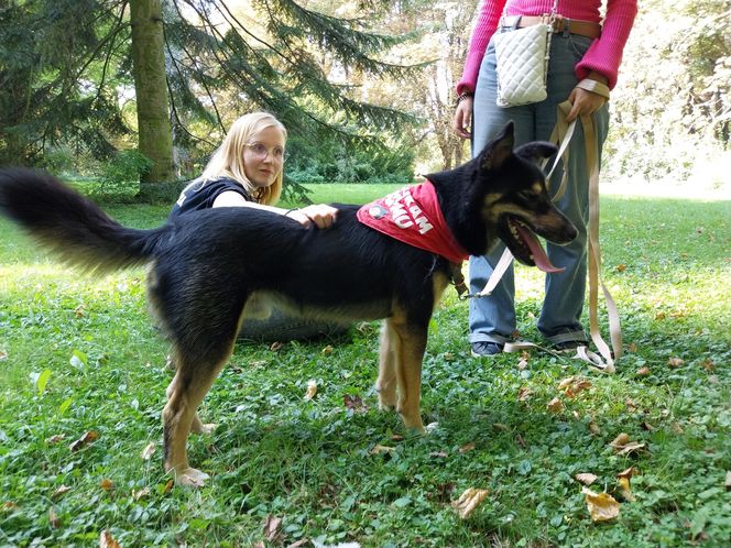 Parkowe łapki - schroniskowe psiaki w parku miejskim w Zamościu