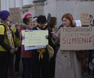 Wielki protest przez ratuszem. Wolontariusze walczą o życie kotów