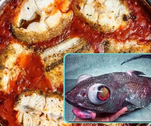 Wygląda strasznie, ale jak smakuje! Ta chuda i zdrowa ryba ma wiele zalet 