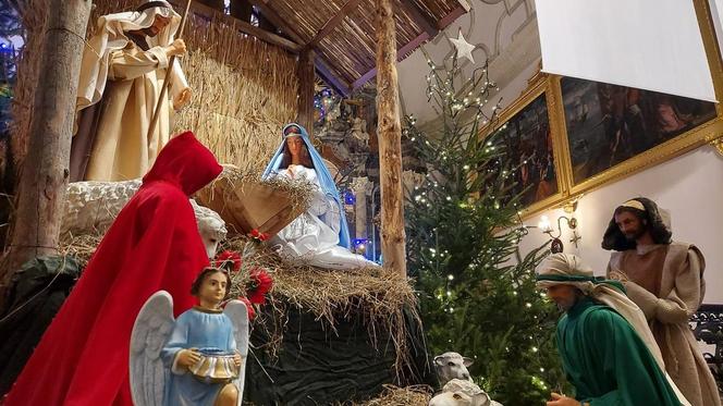 Szopki Bożonarodzeniowe - Stare Miasto Zamość
