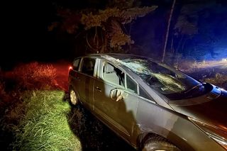 Drzewo runęło na jadący samochód! O krok od tragedii na DK 10 pod Bydgoszczą