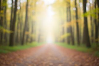 Poszukiwania Katarzyny Jahn. Dlaczego 43-latka z Rybnika zniknęła bez śladu?