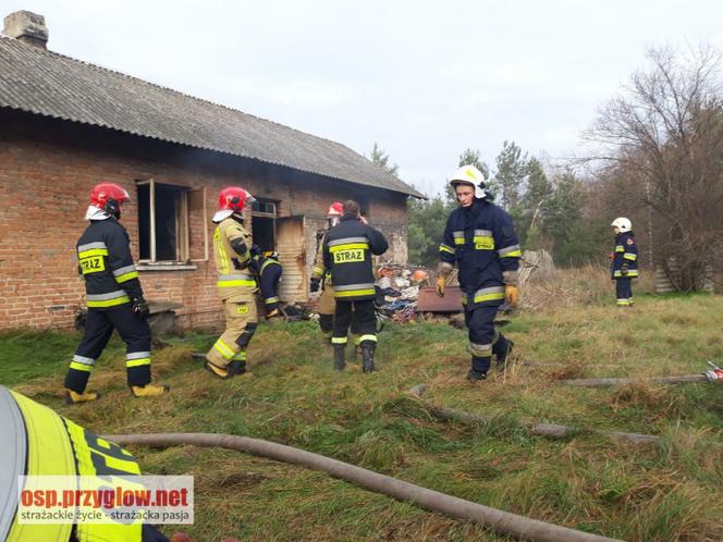 80-latka zginęła w pożarze swojego domu. Jej ciało leżało obok spalonego łóżka 