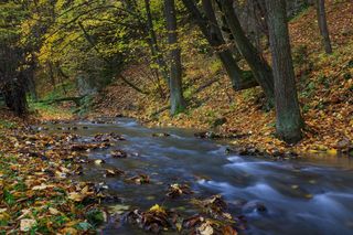 Ten park narodowy nazywany jest polską Szwajcarią