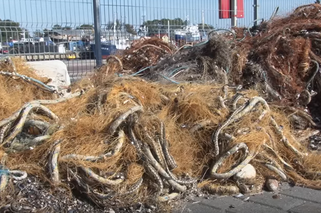 Aż 140 ton śmieci wyłowionych z Bałtyku! Największym problemem są sieci widma [WIDEO]