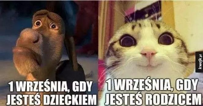 Memy na rozpoczęcie roku szkolnego 