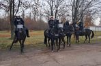 Atestacja koni służących w łódzkiej policji i straży miejskiej