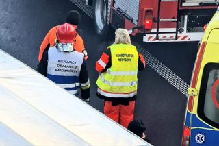 Totalna demolka pod Kołobrzegiem. Zmasakrowane auta i wielu rannych!