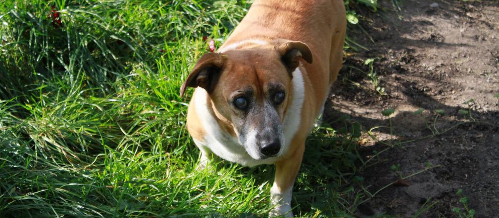 Za moje dobre serce musiałem zapłacić 150zł