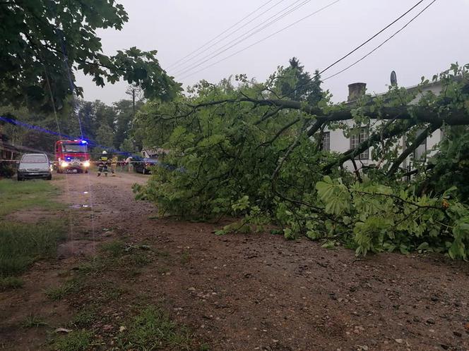 Drzewo przygniotło auto! Gdzie są burze w Płocku i okolicach?