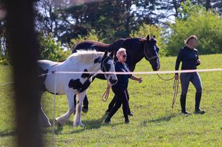 Kluzik gotowa na polityczny galop