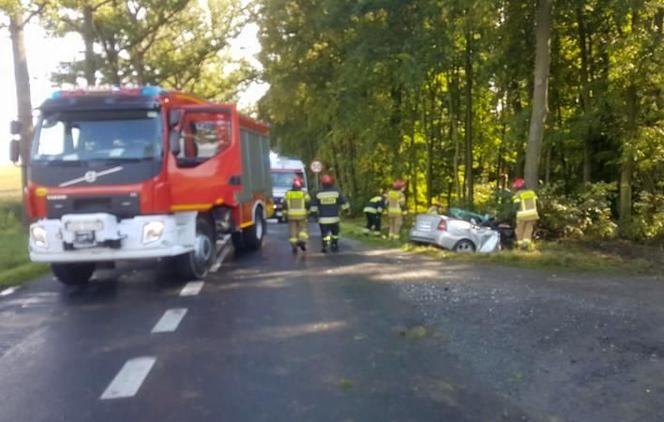 Pijany kierowca przyrżnął kabrioletem w drzewo