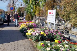 Jest tłoczno na zamojskich cmentarzach. Trwają ostatnie przygotowania przed 1 Listopada