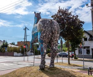 Pomnik Kobyły Niepodległości w Kobyłce