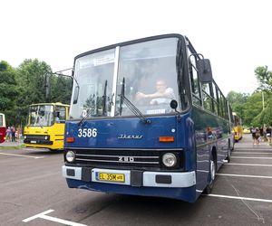 Zlot ikarusów w Mysłowicach