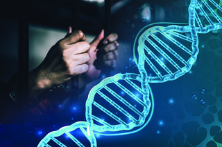 Przełom w Radomiu! Rozbój sprzed lat rozwiązany dzięki DNA. Sprawca za kratami