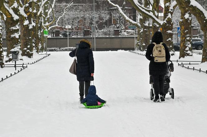 Śnieżny Szczecin 