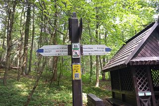 Nowa Słupia, Puszcza Jodłowa i Święty Krzyż