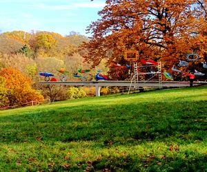 Renowacja Ognistych Ptaków dobiega końca