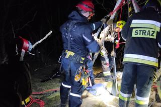 Borsuk wpadł do 9-metrowej studni. Ratowały go trzy zastępy strażaków