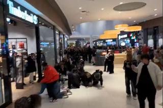 Król „pełzaków” na czele swojej armii. Nowe szalone wideo podbija internet, ludziom opadają ręce